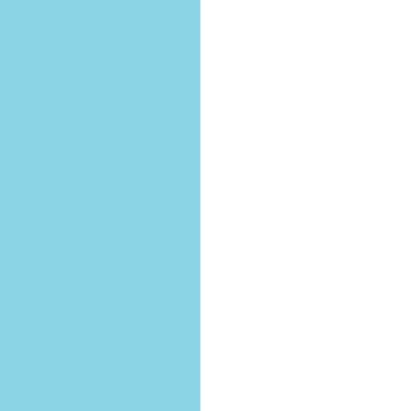 pastel-blue-and-white