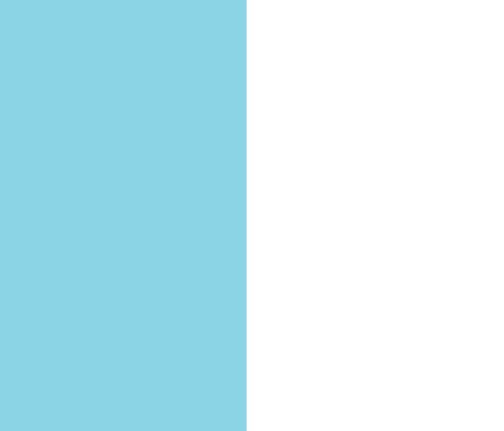 pastel-blue-and-white