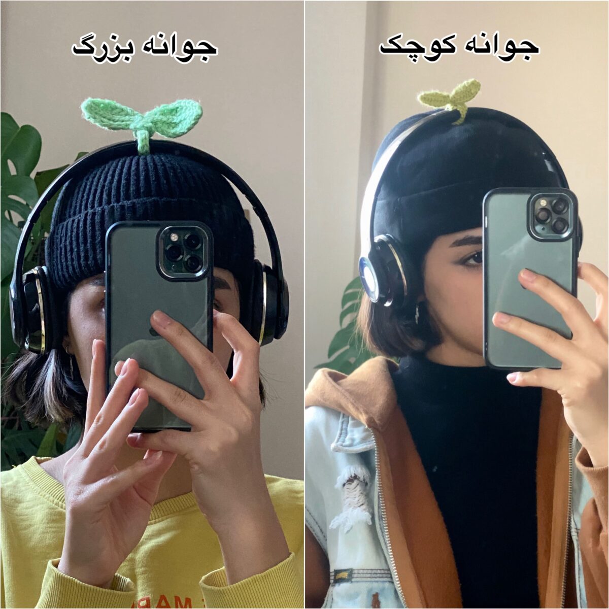 جوانه