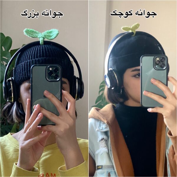جوانه